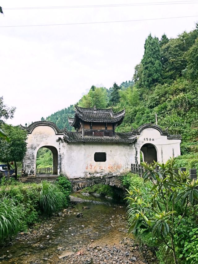 芹川村