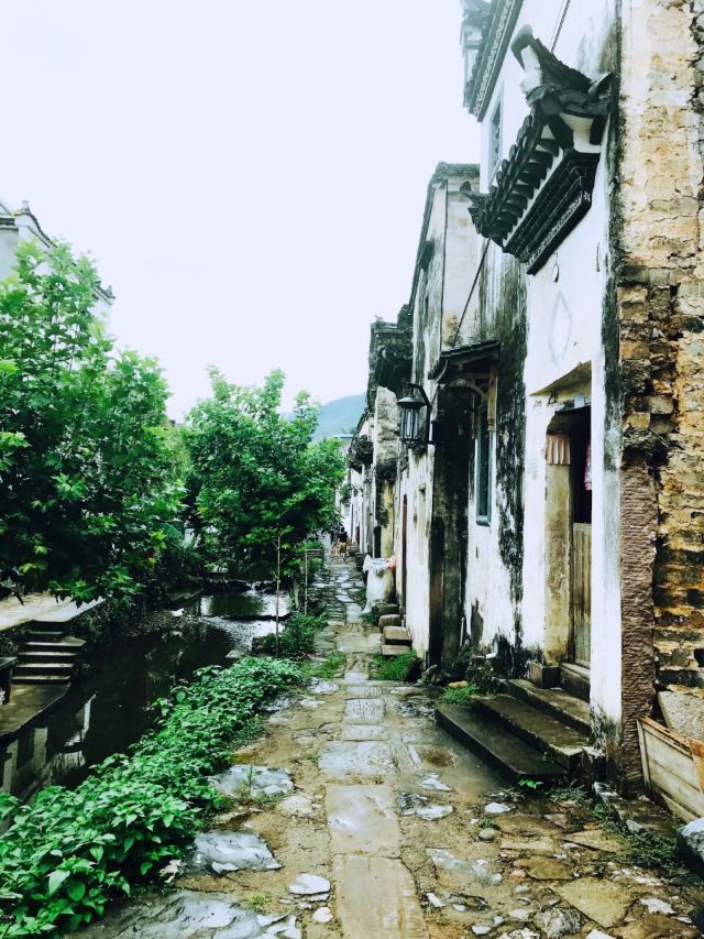 芹川村