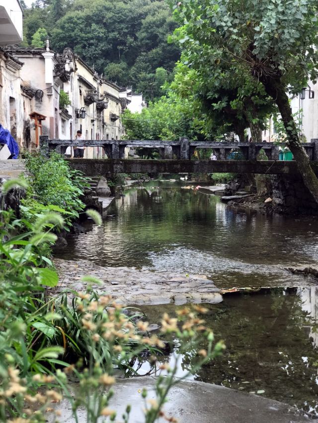 芹川村