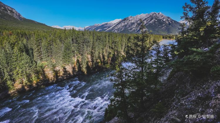 4-Day Canada Winter Tour·Vancouver, Johnston Canyon, Kalamalka Lake, Yoho & Banff