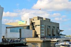 新英格兰水族馆-波士顿-doris圈圈