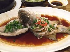 新白鹿餐厅(西湖文化广场店)-杭州