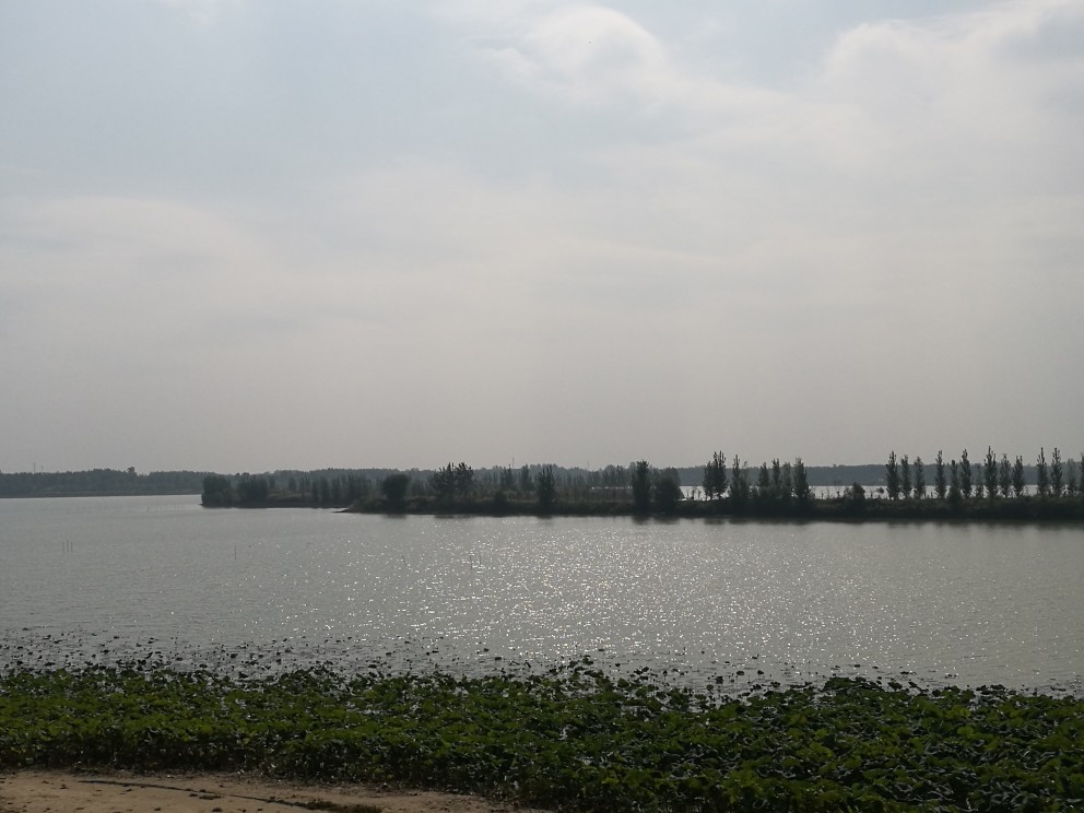 高唐双海湖