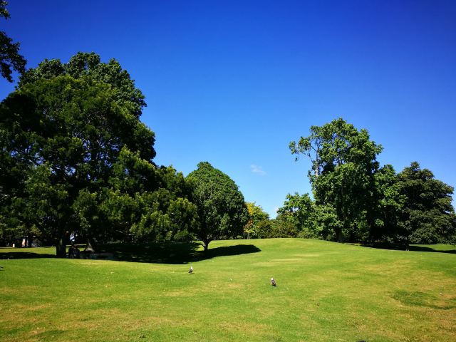 Western Springs Lakeside Park