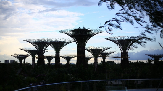 Tourist and Transit Hub