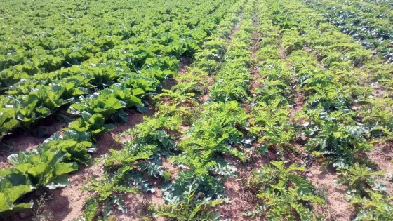 大連金谷生態園