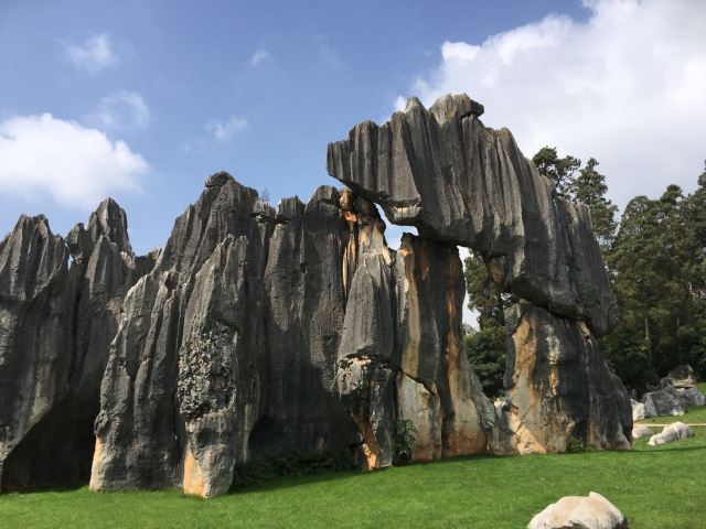 Stone Forest