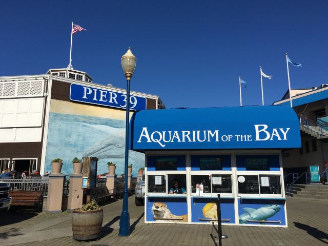 Fisherman's Wharf