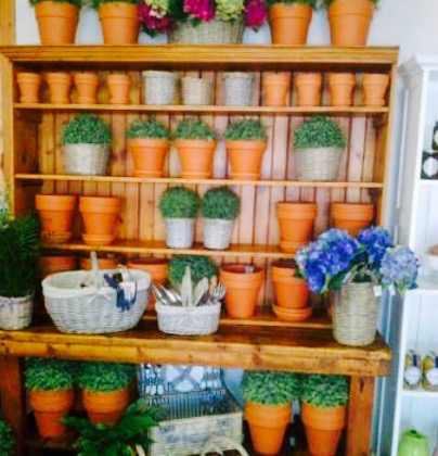 Blue Magnolia Coffee Shop