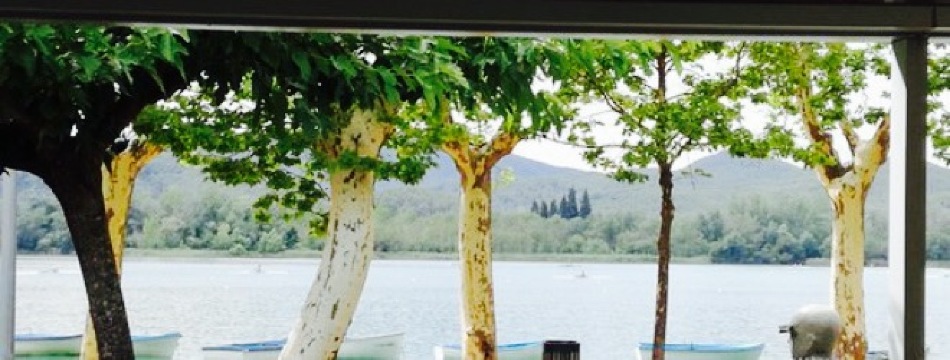 La Carpa De l'Estany