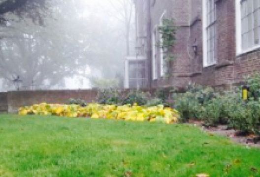 Restaurant Kasteel De Essenburgh美食图片