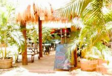 The Mango Place Broome美食图片