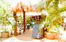 The Mango Place Broome餐厅图片