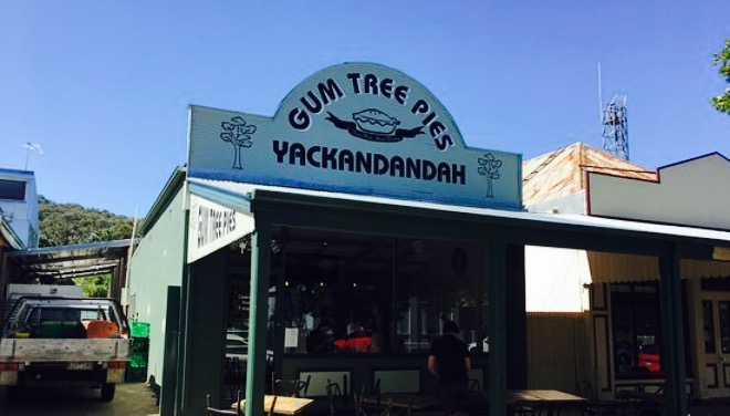 Gum Tree Pies