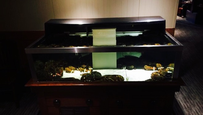 Red Lobster餐厅图片