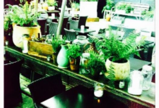 Mangiare美食图片