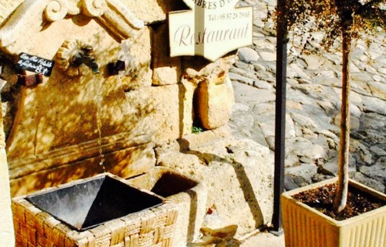 La Côte Braisée餐厅图片