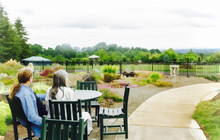 The Garden View Restaurant - Oregon Garden Resort餐厅图片
