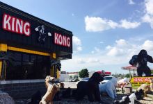 King Kong美食图片