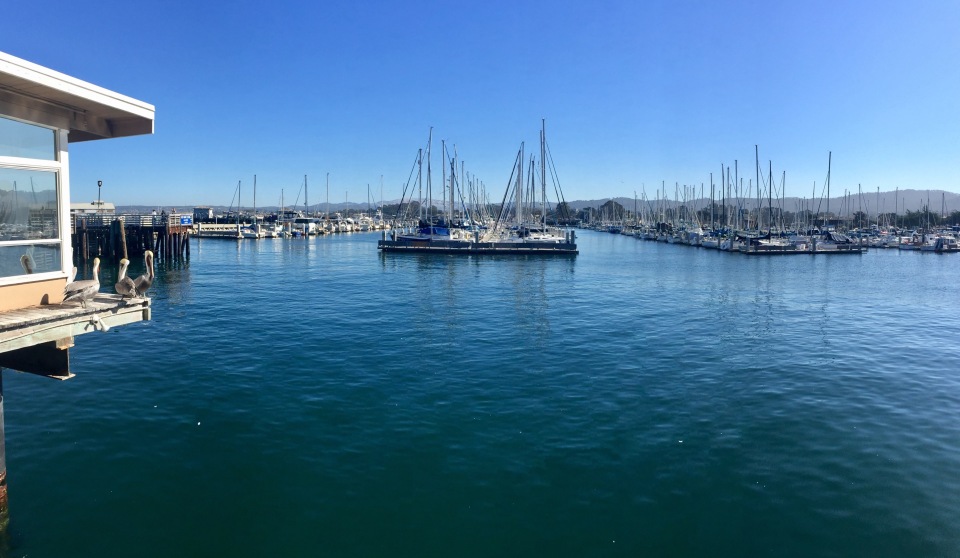 Crab Louie's Bistro餐厅图片