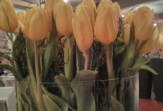 Ristorante Pizzeria Al Lago美食图片