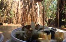 Safari Bar餐厅图片