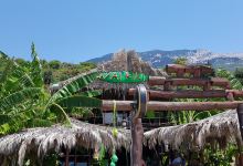 Waikiki Beach Bar美食图片