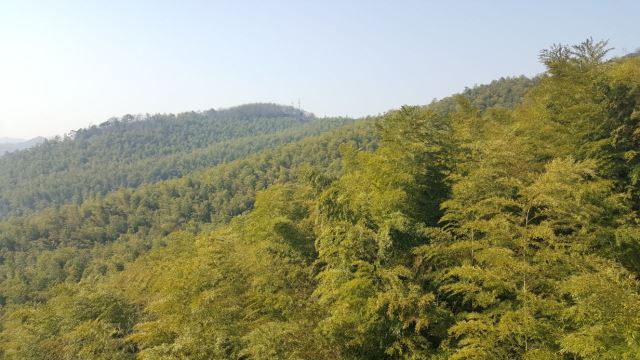 다펑산 셴포구 관광지구