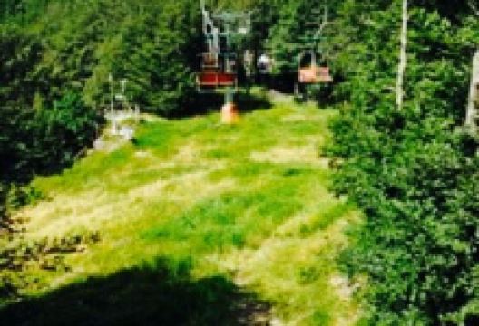 Albergo Gatto d'Oro美食图片