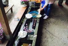 Zensaku Chaya美食图片