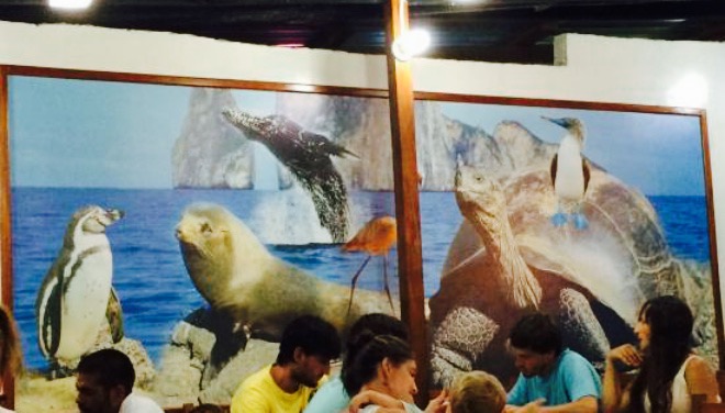 Los Delfines餐厅图片