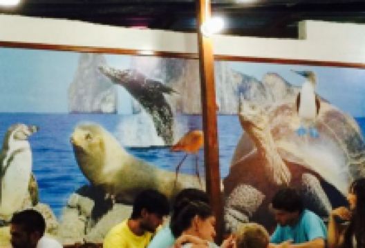 Los Delfines美食图片