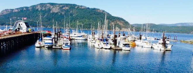 Cow Bay Marine Pub餐厅图片