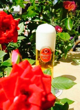 Margareten Klause I Restaurant餐厅图片