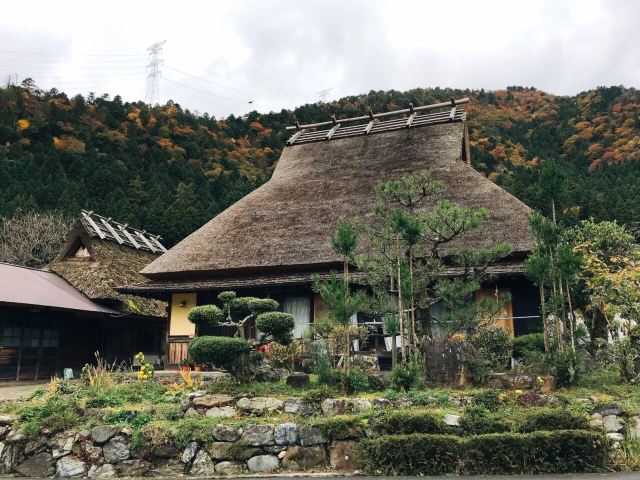 ソース画像を表示