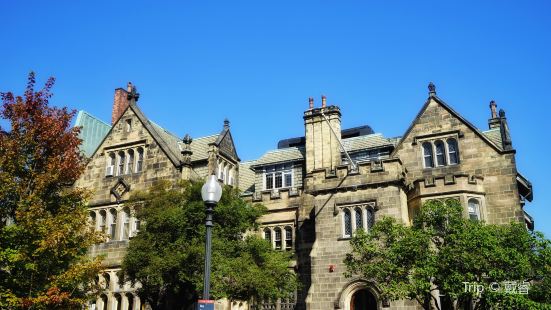 The Castle at Boston University