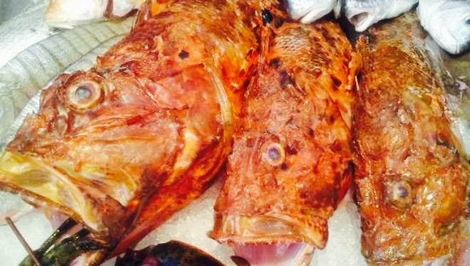 Pescandalo餐厅图片