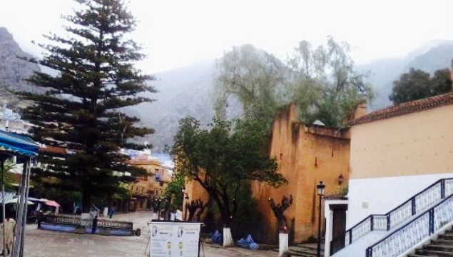 Restaurant Mounir餐厅图片