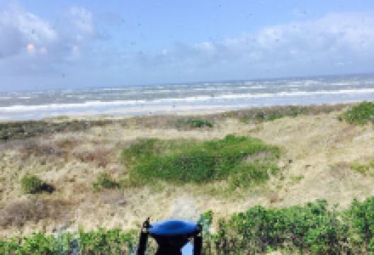 Strandhalle美食图片