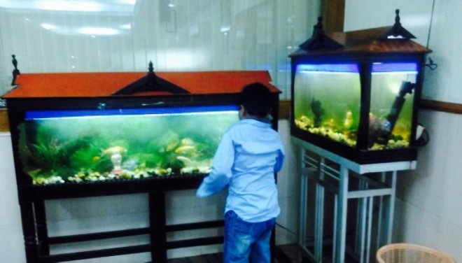 Surabhi Restaurant at Hotel Elite