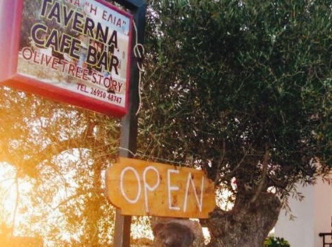 Taverna Olive Tree餐厅图片