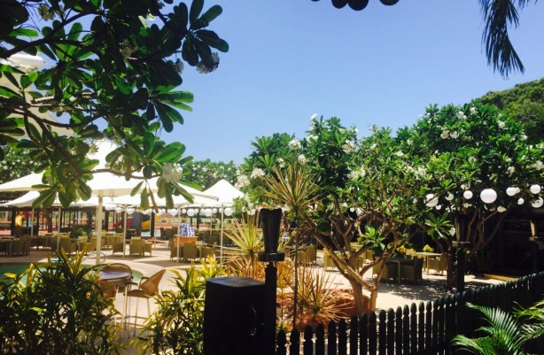 Kichi Kichi餐厅图片