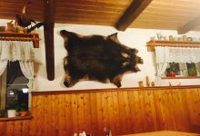 Pension & Gasthaus Riedel美食图片