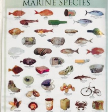 Geraldine Fish Supply