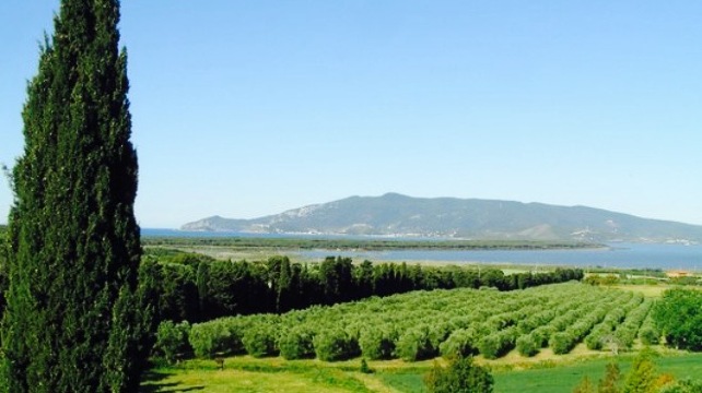 Ristorante Agriturismo Grazia餐厅图片