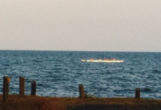 Flying Fish Point Cafe美食图片