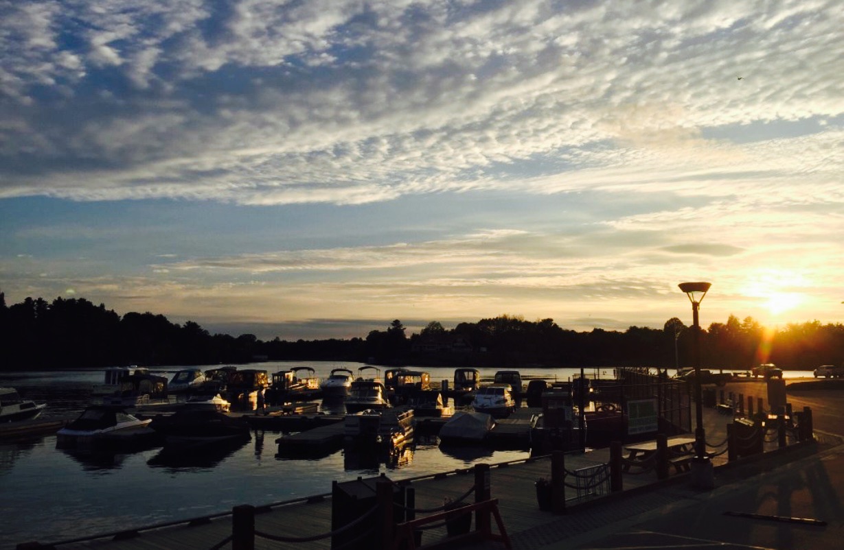 Twiggs Coffee Roasters