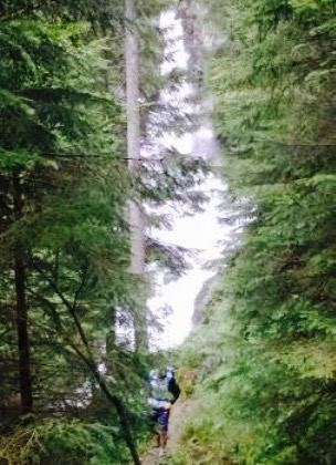 Restaurant Riesachfall餐厅图片