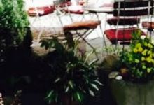 Zur Restauration美食图片