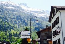 Gasthaus Sonne美食图片